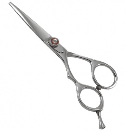 Professional Razor Shear